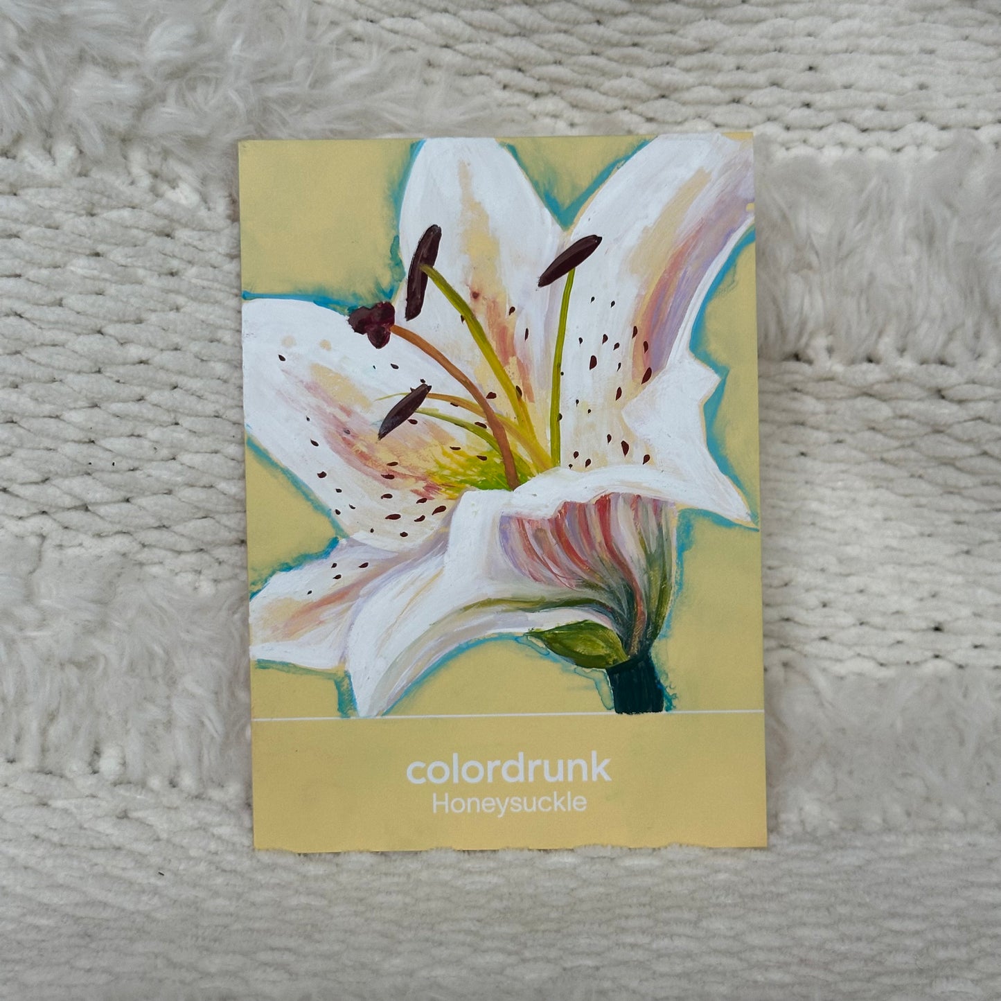 Coloured Card in Gouache (choose one!)