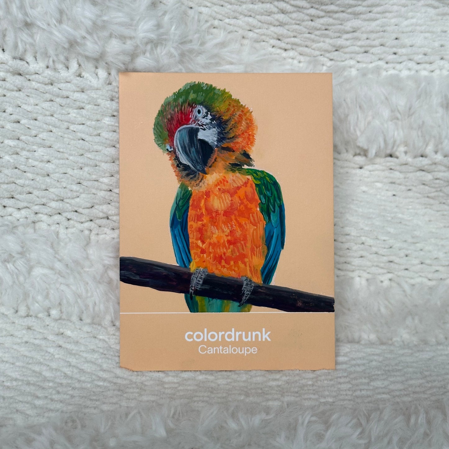 Coloured Card in Gouache (choose one!)