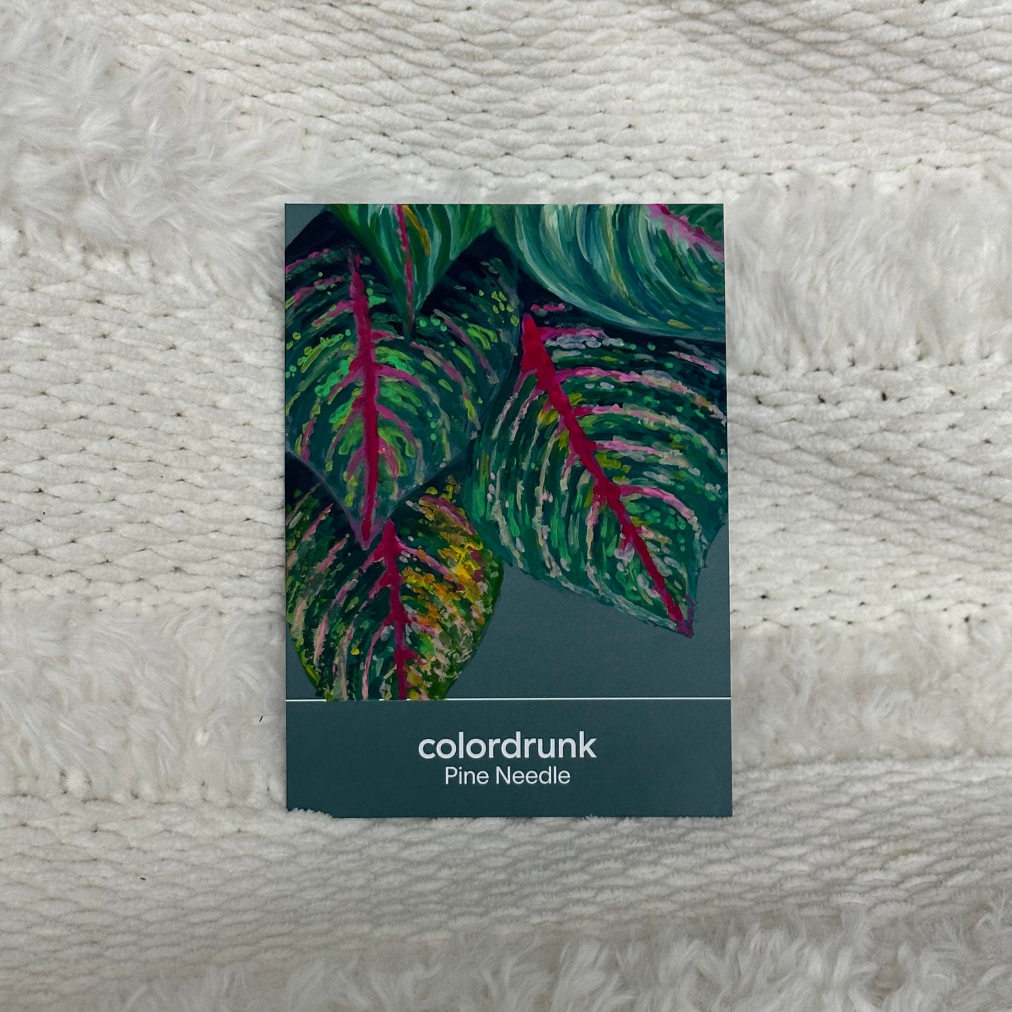 Coloured Card in Gouache (choose one!)