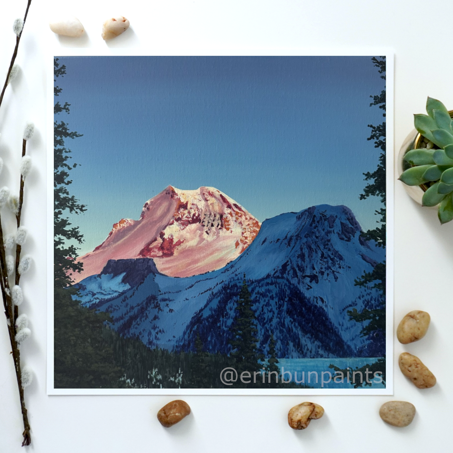 Mountain's Contrast Art Print